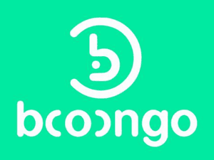 Banner of Boongo game